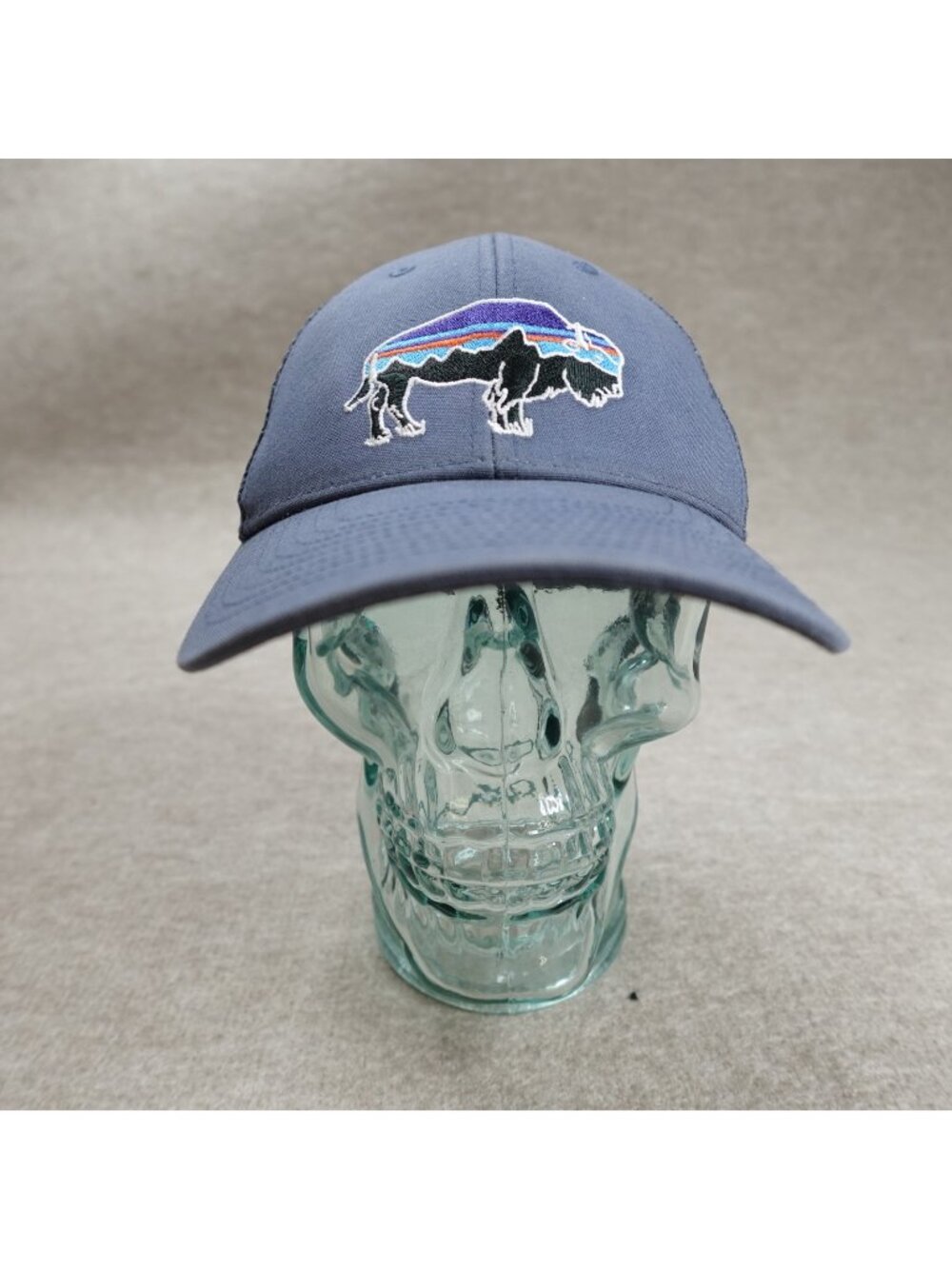 Patagonia Trucker Hat Blue Bison Fitzrou Trucker 3800